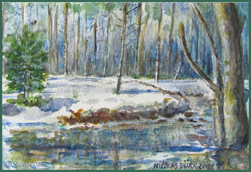 Randonnées graphiques hivernales dans le Haut-Doubs en hiver,&nbsp;2012