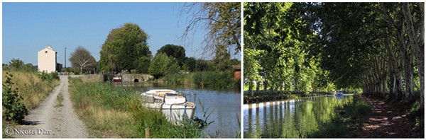 Le Canal du Midi (1/15/30), de Carcassonne à la jonction (2012) (6/7) : de l&rsquo;écluse d&rsquo;Argens au&nbsp;Somail
