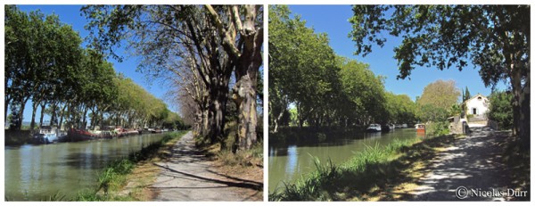 Le Canal du Midi (1/16/30), de Carcassonne à la jonction (2012) (7/7) : du Somail à l’embranchement