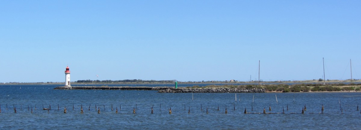 La randonnée d&rsquo;Alison sur le Canal du Midi en&nbsp;2018